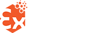 LogoWeb_Exproject